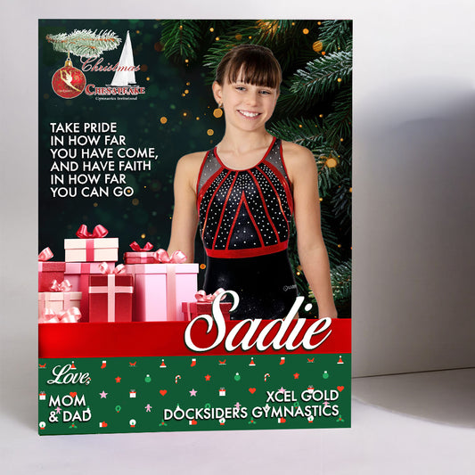 Christmas on the Chesapeake - Shining Gifts