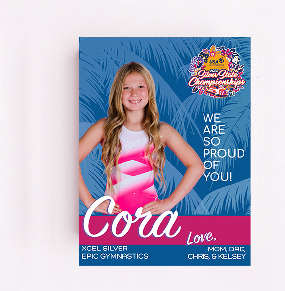 Michigan Xcel Silver State Championships